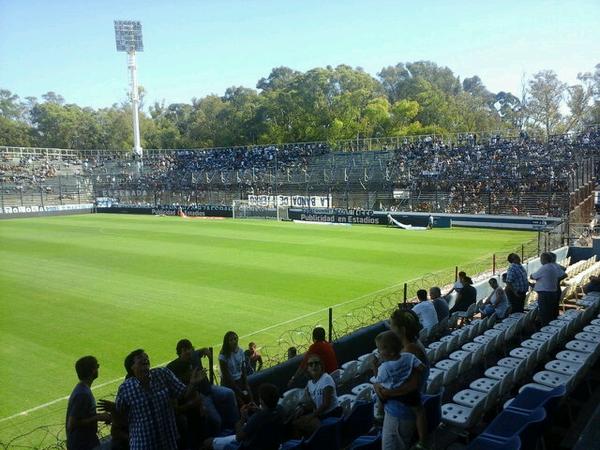 Tribuna